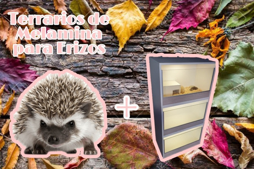 Terrarios Habitad Para Erizos, Hamster, Mascotas Pequeñas