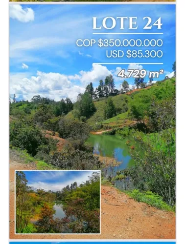 Rhbr-11408 (lote, Guatape)
