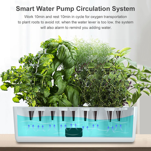 Kit Hydroponics Gg System Para Jardín De Hierbas Para Inter