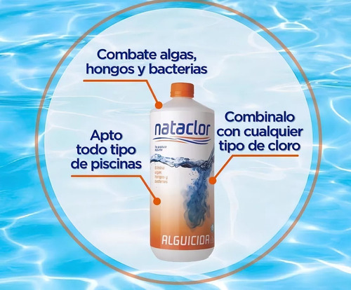 Nataclor Alguicida Líquido 1l Para Piletas