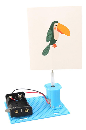 Diy Experimentos De Ciencia Jaula Eléctrica Pájaro