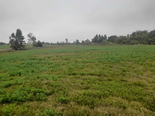 Ocasión Terreno 3.15 Hectáreas Agua Santa San Clemente Pisco