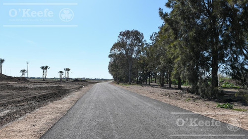 Imagen 26 de 30 de Lote En Venta En Puerto Nizuc - Oportunidad De Inversión En Guillermo Hudson