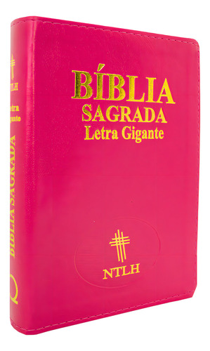 Bíblia Sagrada Letra Gigante: Ntlh Pink Com Índice, De Vários Cooperadores. Única, Vol. Único. Editorial Edifique, Capa Mole, Edição 1a Edição Em Português, 2024
