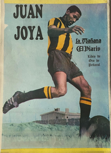 Poster Peñarol Del Libro De Oro 1991 Juan Joya Ez2c