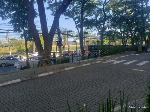 Imagem 16 de 17 de Comercial Para Venda, 0 Dormitórios, Vila Hamburguesa - São Paulo - 23938