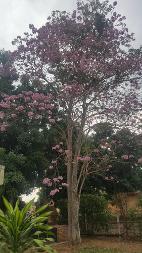 Imagen 19 de 22 de Rosaura Cortez Vende Casa En Safari Country Club Carabobo