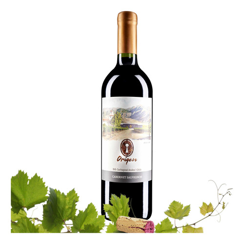 Vino Valle Secreto Origen Cabernet Sauvignon