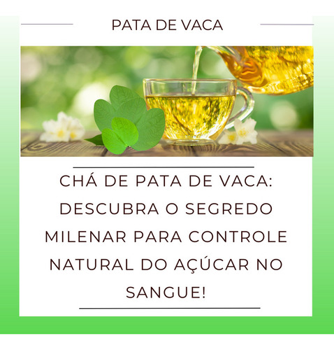 Folhas De Pata De Vaca Para Chá | Autêntica Unha De Vaca