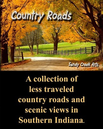Libro Country Roads - Lee Martin
