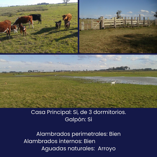 415 Hectáreas Ganaderas Agrícolas A 23 Km De Treinta Y Tres.