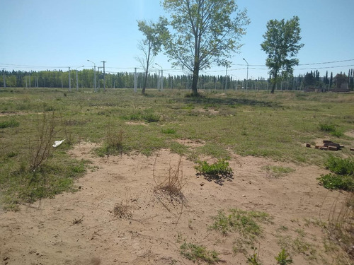 Imagen 3 de 7 de Terreno. Plottier. Venta. Barrio Mangeles