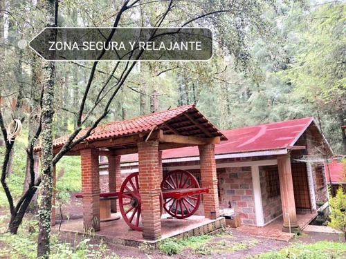 Imagen 7 de 11 de Terreno En Venta Espectacular Bosque Para Su Cabaña!