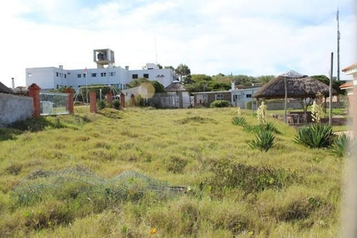 Lote | Embrujo De Servilla