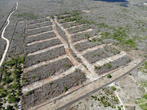 Terreno(15) En Venta En Parque Caucel En Caucel