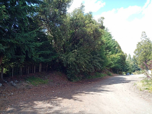 Imagen 10 de 16 de Lote / Terreno De 2.885m2 En Villa La Angostura