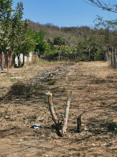 Venta De Terreno En El Bejuco