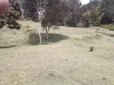 Lote y casalote en venta