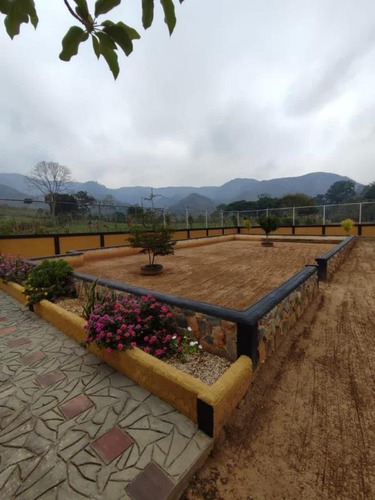 Imagen 6 de 20 de Oportunidad Finca Agro Industrial En Bejuma, Ryes Arriba, LG