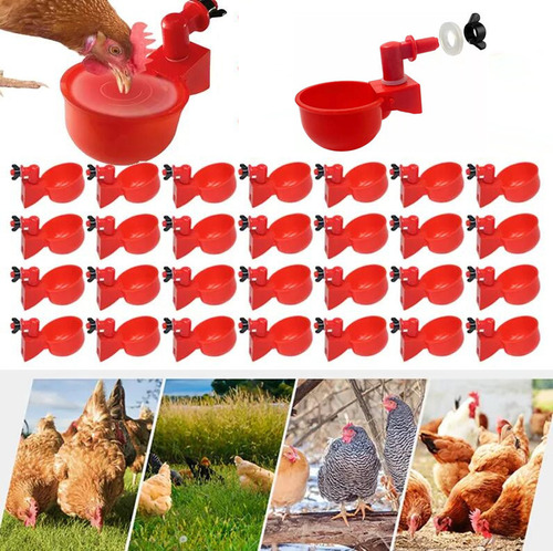 30 Bebederos Automáticos For Aves De Corral, Pollo, Codorni