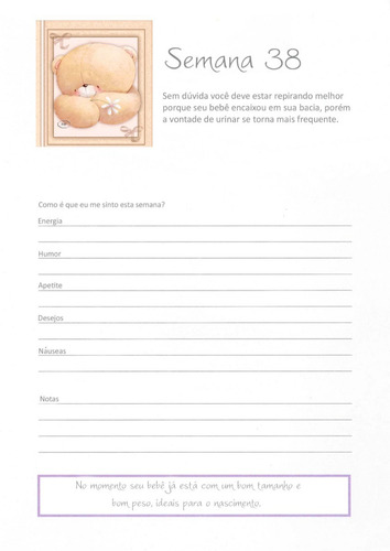 Imagem 8 de 10 de Diário Gravidez Mamãe Bebê Agenda Para Se Organizar Gestação