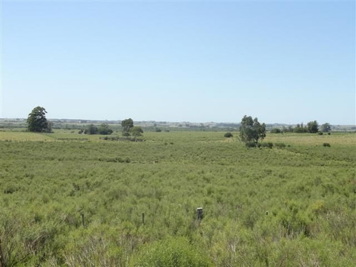 Quinta En Venta En Las Cañas