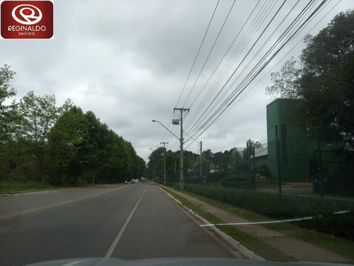 Imagem 5 de 8 de Área Para Venda - 00036.006