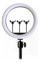 Comprar Aro Anillo Luz Led De 36cm + 3 Soportes Para Celular 40 Watt