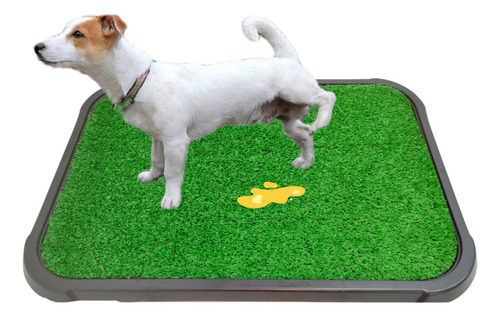 Xixi Pet Bandeja Para Cachorro E Gato Grama Sintética Grande