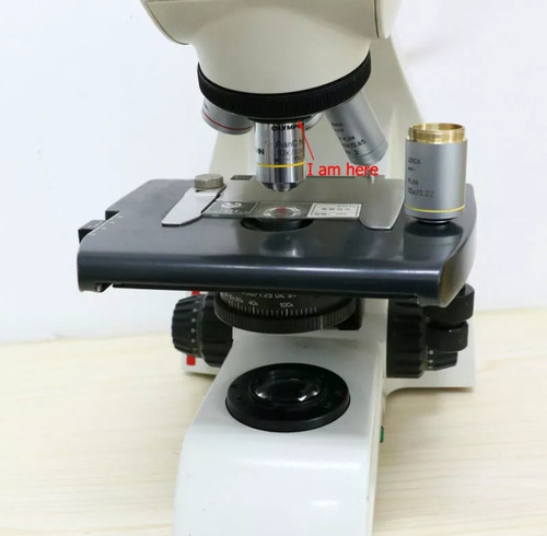 Anillo Adaptador- Objetivo Olympus Para Microscopío Leica