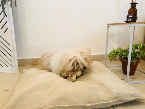 Almohadon Y Funda Para Colchón Mascota Lienzo Talle M