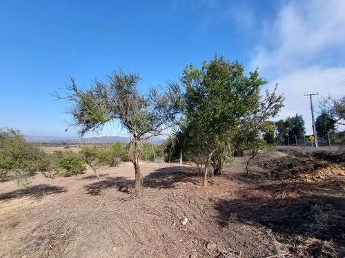 Se Vende Terreno Orilla Calle Los Laureles Limache