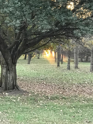 Imagen 3 de 12 de Areco - Loteo Unico - Barrio El Tropezon - Ruta 8 Km 116 -