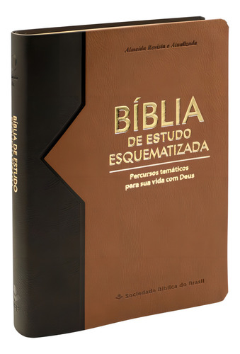 Bíblia De Estudo Esquematizada - Preta