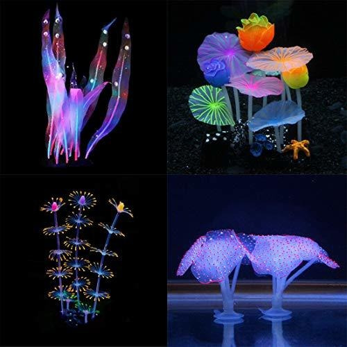 Imagen 1 de 2 de Acuario Acuario Acuario Acuario, Simulación Coral Plantas De
