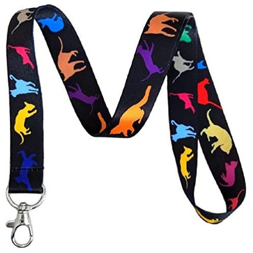 Lanyard De Gatos Arcoíris Llavero Y Soporte De Identif...