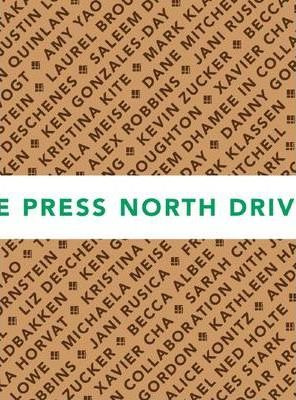 Libro North Drive Press: (sdnr 30) No. 4 - Matt Keegan