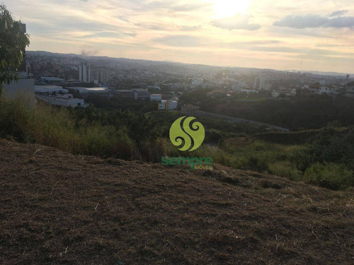 Imagem 7 de 15 de Terreno Para Alugar, 1200 M² Por R$ 2.000,00/mês - Estoril - Belo Horizonte/mg - Te0041