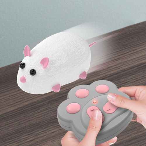 Gatito De Rata De Control Remoto Que Juega El Juguete