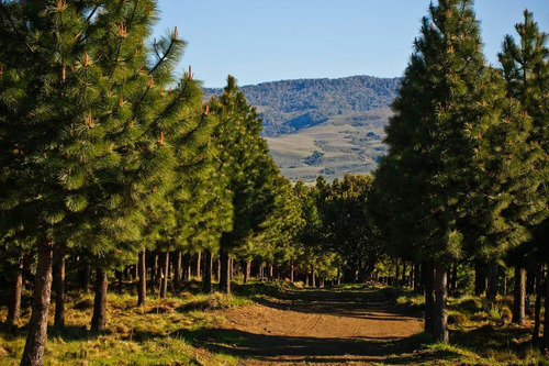 Terreno En Venta - 1.300mts2 - Lago Huechulafquen, Neuquén