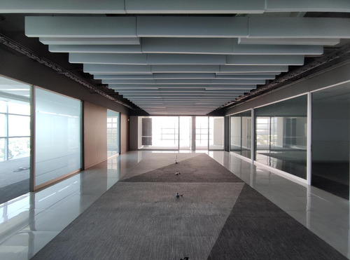 Oficina En Renta - Torre Murano Piso 10 - 509 M2