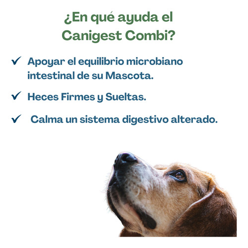 Canigest Combi 16 Ml Pasta Perro/gato