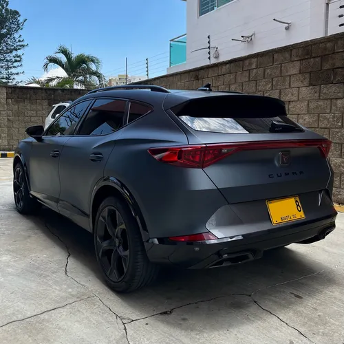 Cupra formentor 2.0 Tsi Mate Dsg