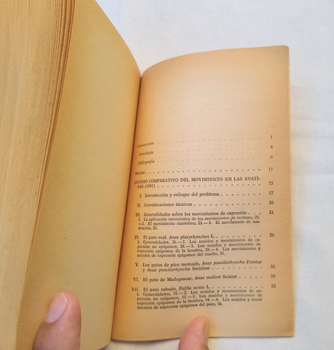 Cosideraciones Sobre Conductas Animal Y Humana Konrad Lorenz (Usado)