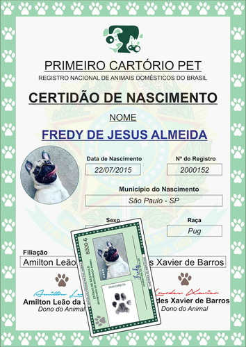 Certidão De Nascimento Pet Rg Pet E Placa Pet