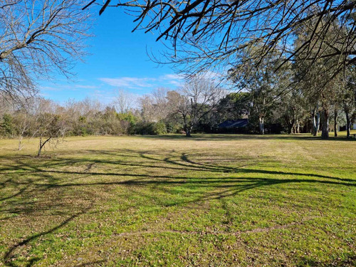 Imagen 4 de 14 de Terreno En Venta 1800m2 Con Excelente Arboleda