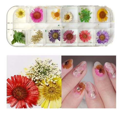 Kit De Flores Secas Para Encapsular Con Estuche Deco Uñas Xu