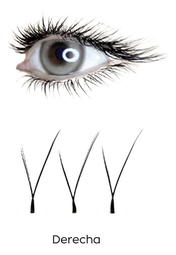 Diyday Foxy Eyes Pestañas Yy 0,07 D Mix Para Efecto Foxy Eye Negro Derecha 1.5 Cm 0.07 Mm