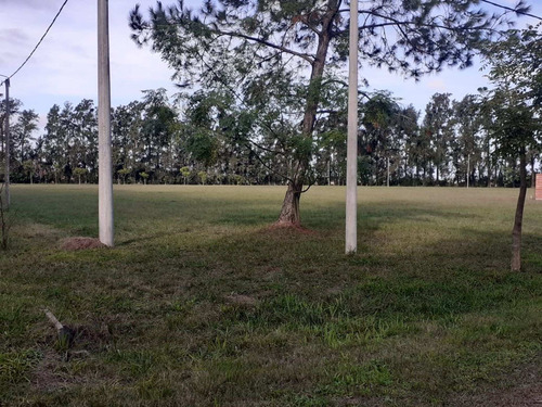 Imagen 9 de 15 de Terreno En Venta En Barrio El Chaqueño