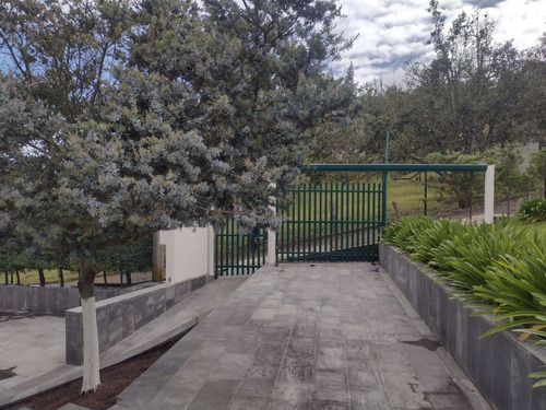 Ideal Rancho